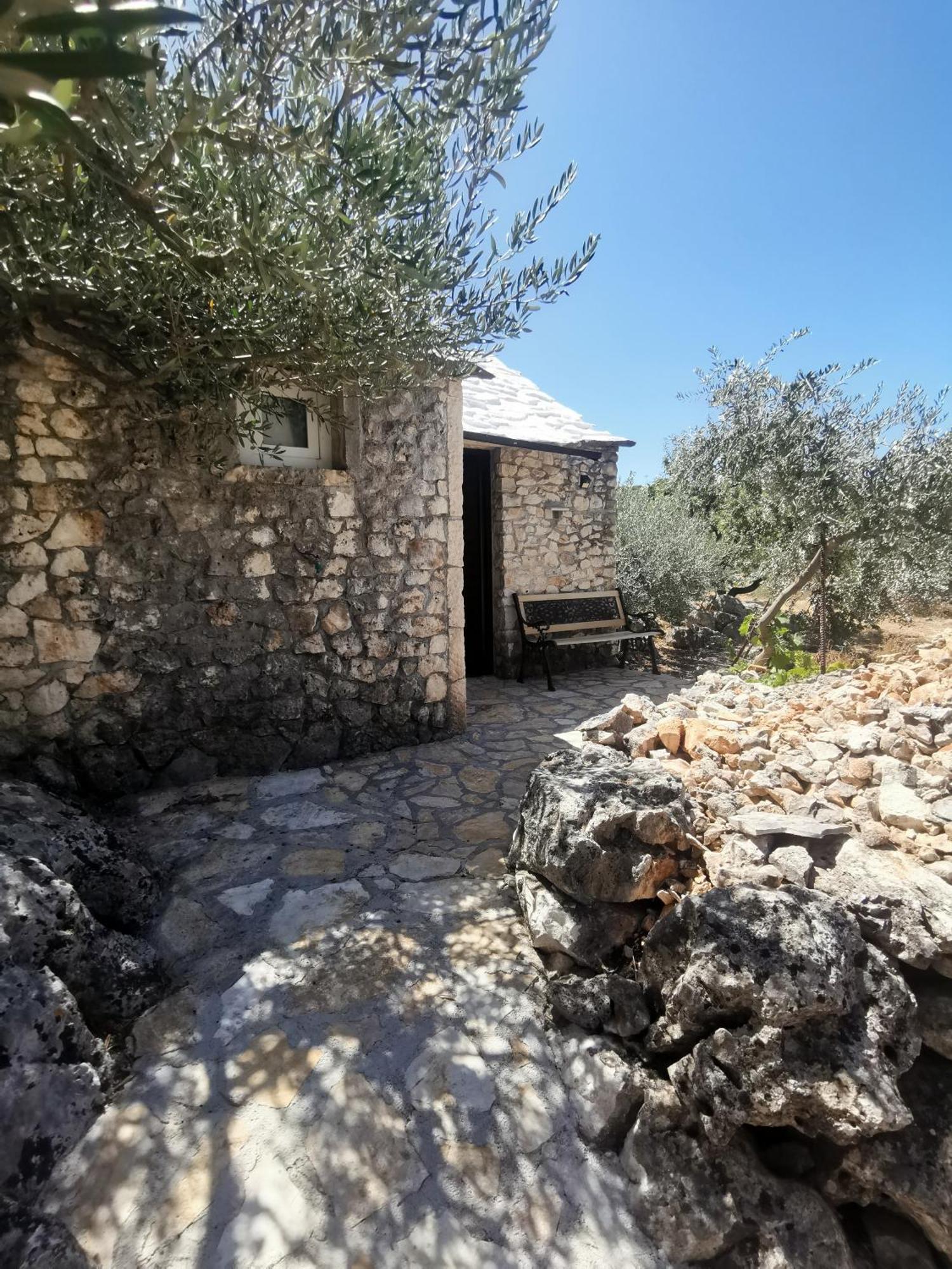 Villa Robinson Crusoe Style House "Maslina" Škrip Exterior foto